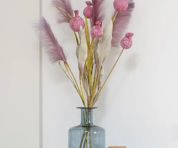 Daire Baranczaka Cozy With Parking In By Renters